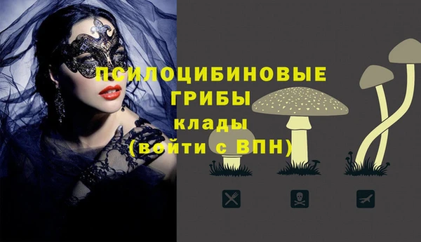 ГАЛЛЮЦИНОГЕННЫЕ ГРИБЫ Горняк