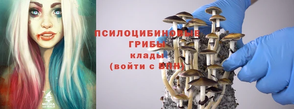 Альфа ПВП Горнозаводск