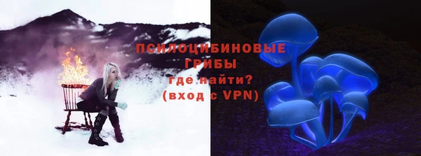 ГАЛЛЮЦИНОГЕННЫЕ ГРИБЫ Горняк