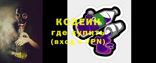 ГАЛЛЮЦИНОГЕННЫЕ ГРИБЫ Горняк