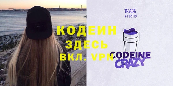 ГАЛЛЮЦИНОГЕННЫЕ ГРИБЫ Горняк