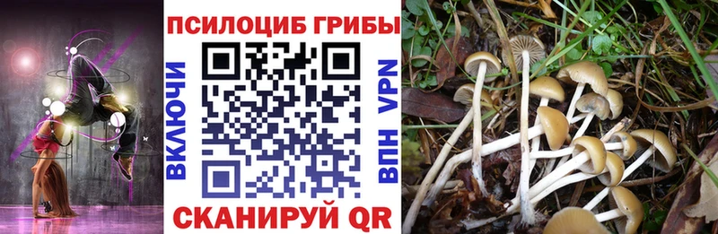 мориарти формула  Полевской  Галлюциногенные грибы прущие грибы 