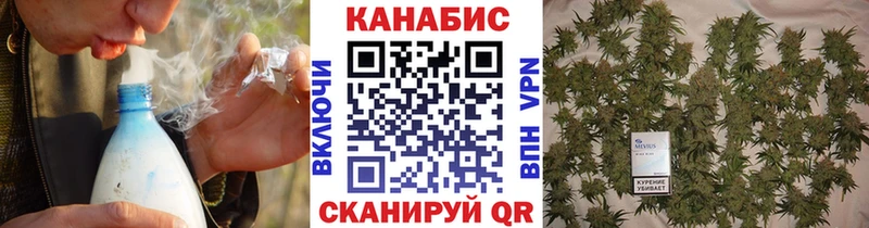 Бошки Шишки MAZAR  Полевской 